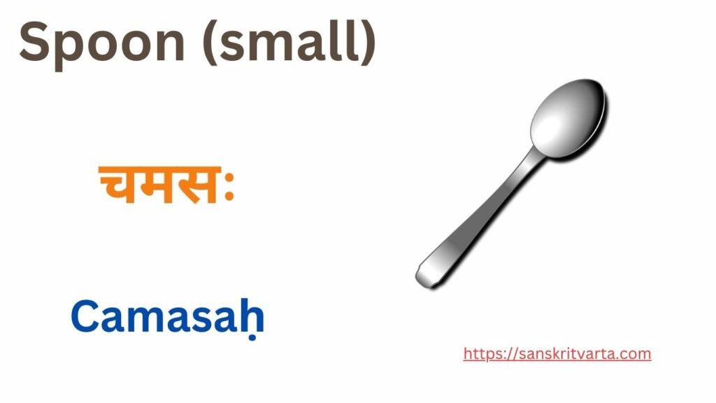 Spoon (small) in Sanskrit is called चमसः (Camasaḥ)