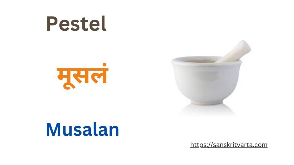 Pestel in Sanskrit is called मूसलं (Musalan)