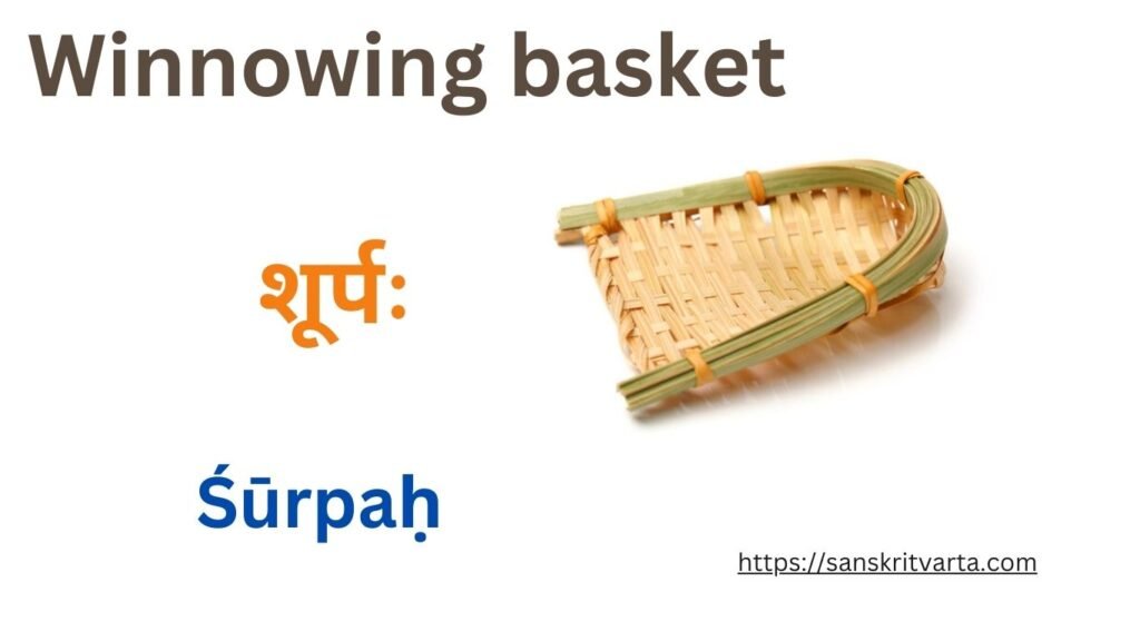 Winnowing basket in Sanskrit is called शूर्पः (Śūrpaḥ)