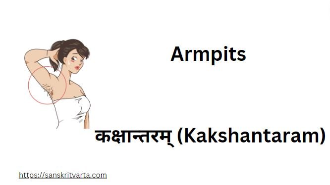 Armpits in Sanskrit is called कक्षान्तरम् (Kakshantaram)