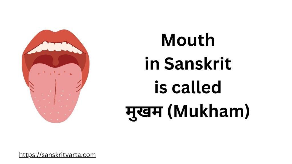 Mouth in Sanskrit is called  मुखम (Mukham)