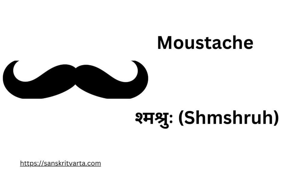 Moustache in Sanskrit is called श्मश्रुः (Shmshruh)