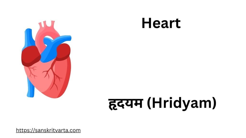 Heart in Sanskrit is called हृदयम (Hridyam)