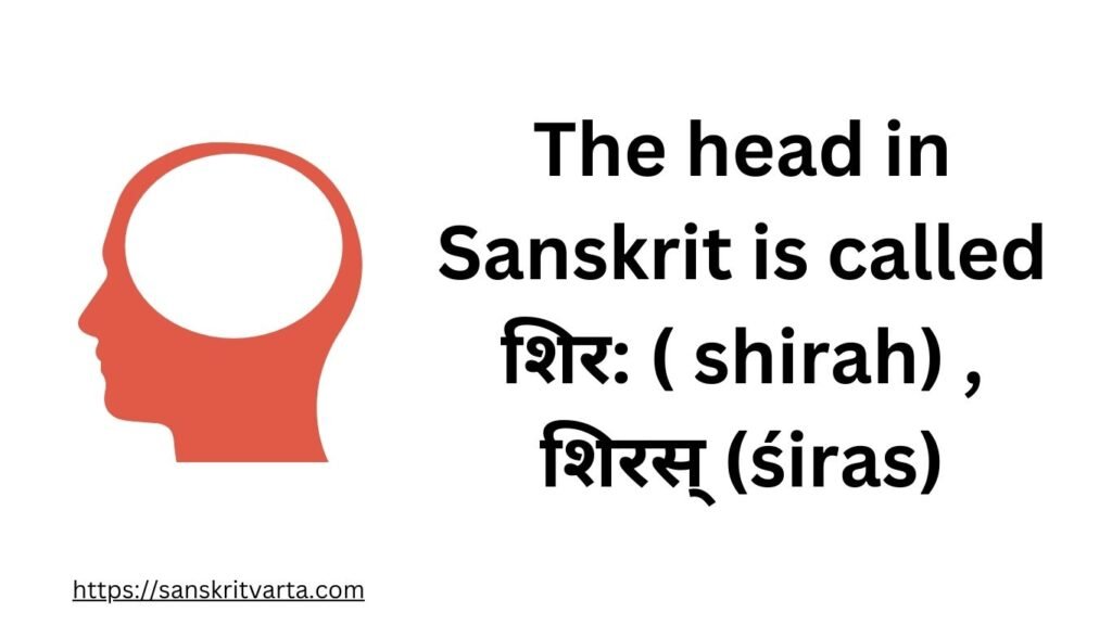 The head in Sanskrit is called  शिर: ( shirah) , शिरस्‌ (śiras)