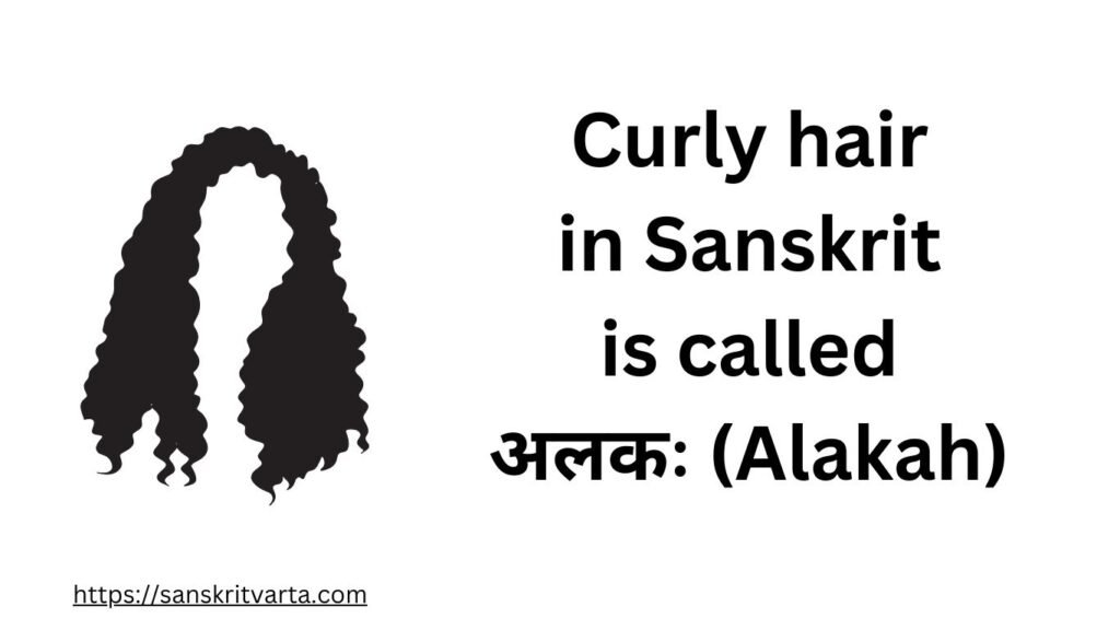 Curly hair in Sanskrit is called अलकः (Alakah)