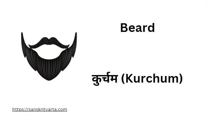 Beard in Sanskrit is called कुर्चम (Kurchum)