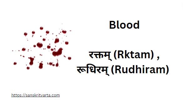 Blood in Sanskrit is called रक्तम्  (Rktam) , रूधिरम् (Rudhiram)