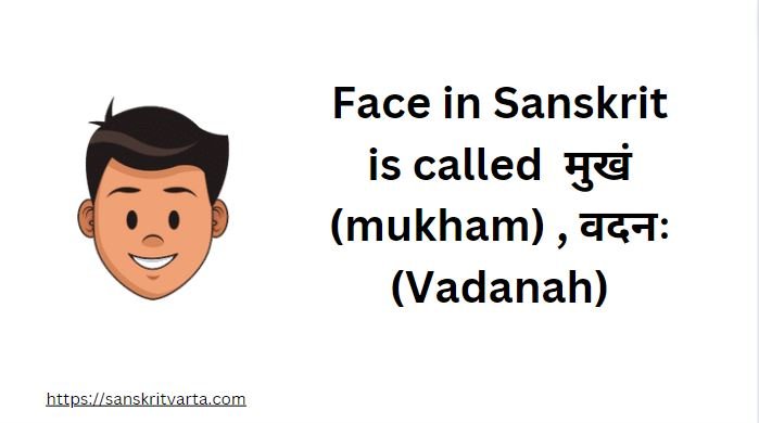 Face in Sanskrit is called मुखं (mukham) , वदनः (Vadanah)