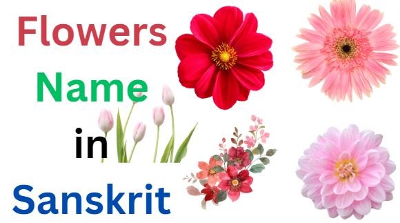 60 Flowers Name in Sanskrit and English With Pictures