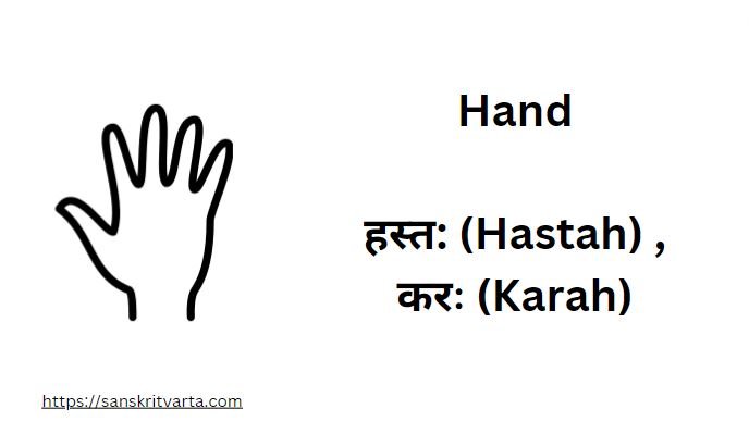 Hand in Sanskrit  is called हस्त: (Hastah) ,करः (Karah)