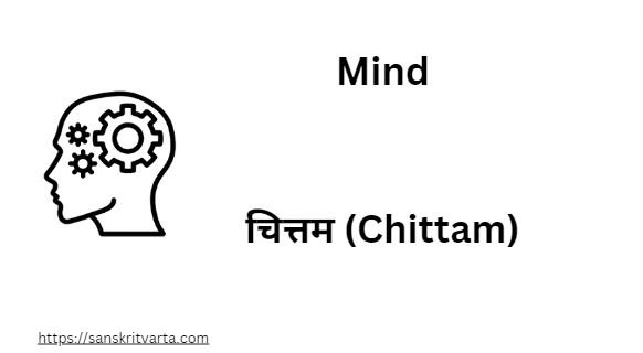 Mind in Sanskrit is called चित्तम  (Chittam) 