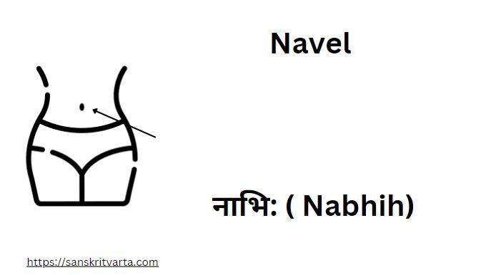 Navel in Sanskrit is called नाभि: ( Nabhih)