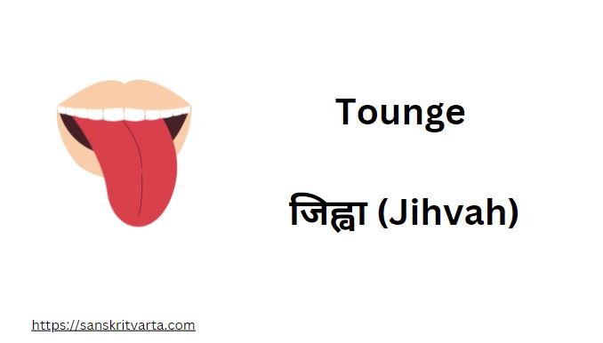 Tounge in Sanskrit is called जिह्वा (Jihvah)
